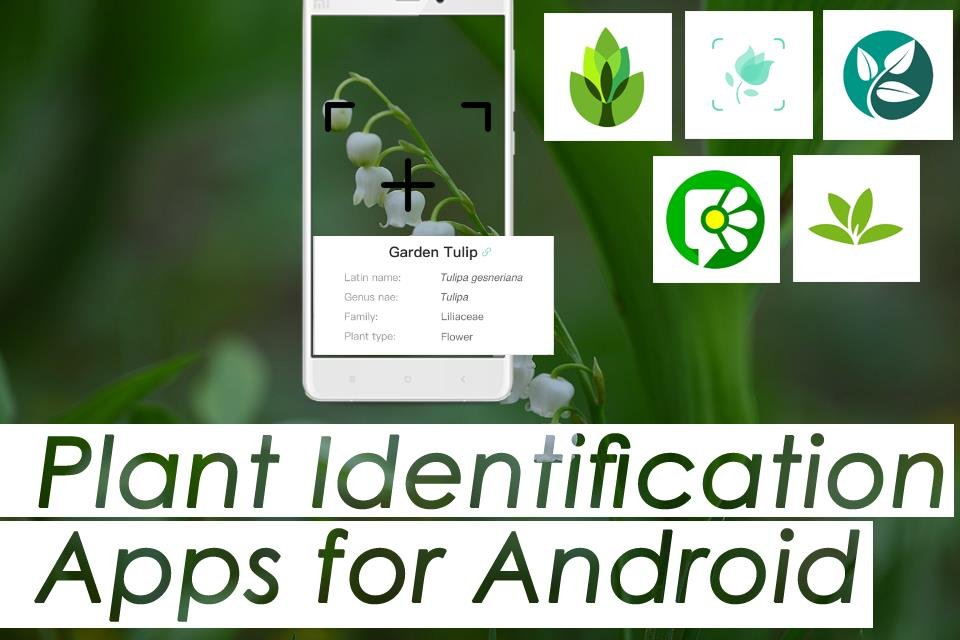 Best Identification Apps for Android 2023